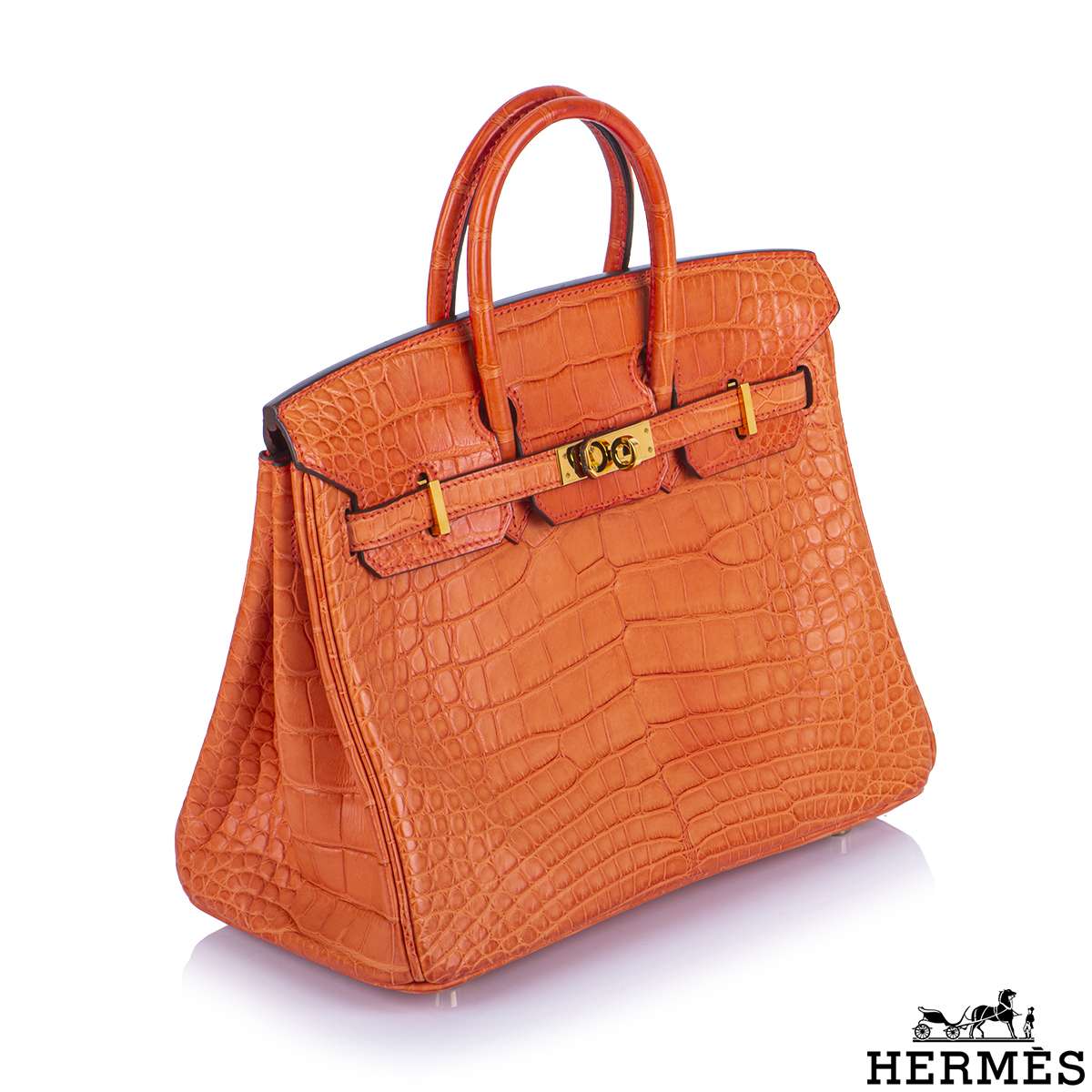 Hermes Birkin 25 Orange Poppy Clemence Gold Hardware #T